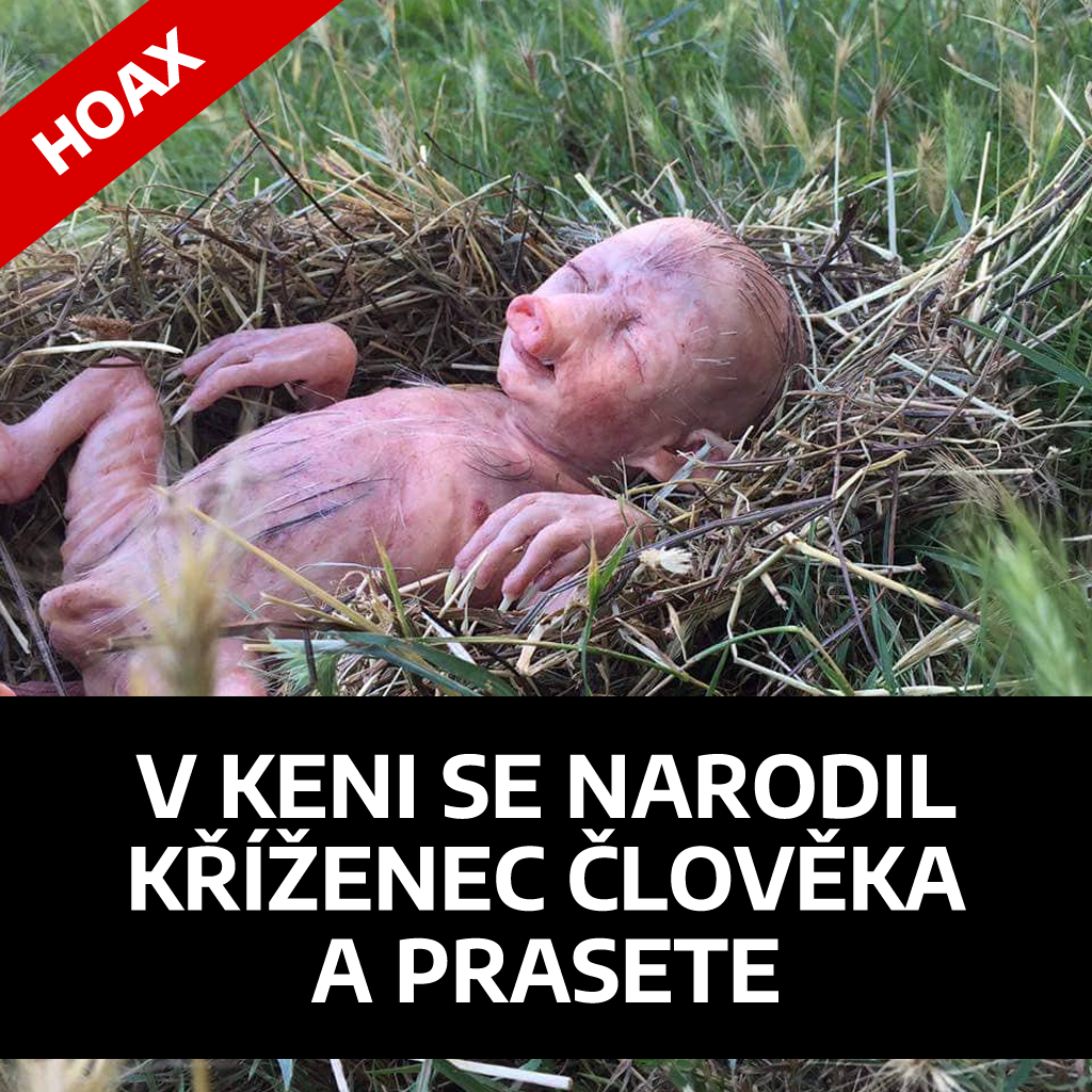 V Keni se narodil kříženec člověka a prasete.