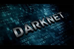 mini_darknet