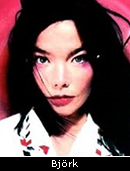 stalking-bjork.jpg